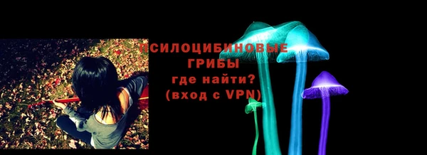 трава Гусь-Хрустальный
