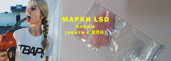 трава Гусь-Хрустальный