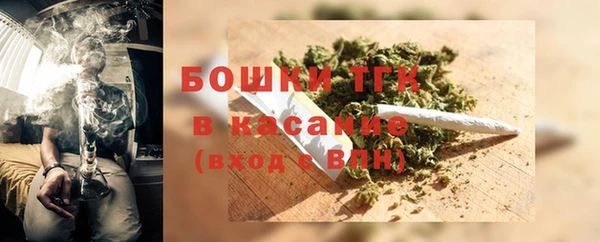 винт Гусев