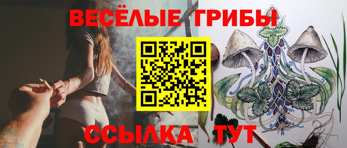 Дятьково  Галлюциногенные грибы прущие грибы  Вход с VPN 