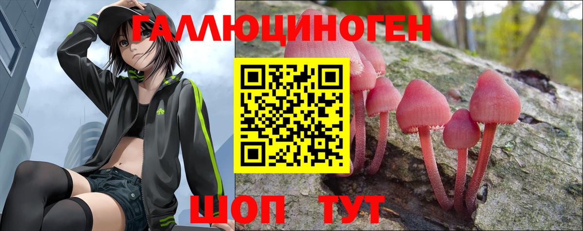 Галлюциногенные грибы Psilocybine cubensis Дятьково